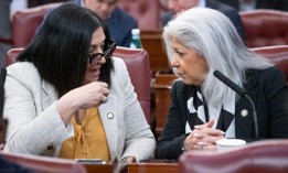  New York City Council Members Joann Ariola and Vickie Paladino