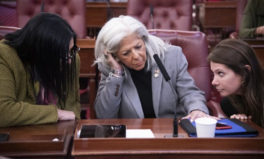 Republican City Council Member Vickie Paladino