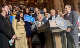 State Sen. Liz Krueger speaks at a rally in support of buffer zone legislation.