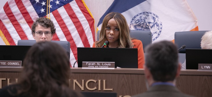 Council Member Farah Louis is chair of the powerful Subcommittee on Zoning and Franchises. 