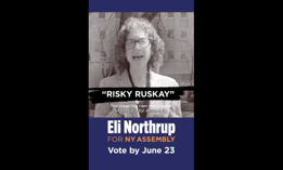  Super PAC New York Future is running digital video ads attacking Assembly candidate Stephanie Ruskay.