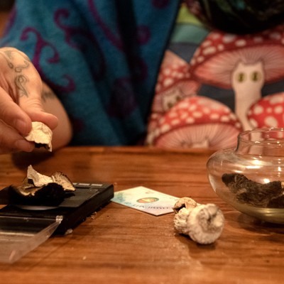Room for shrooms? Medical psilocybin access eyed for after-budget rush
