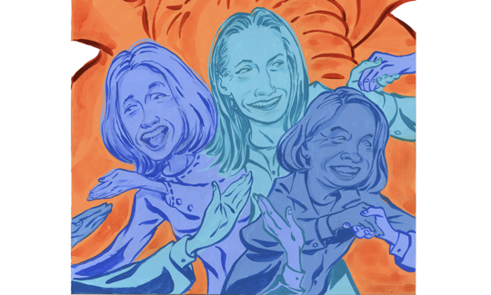 Beth Davidson, Cait Conley and Effie Philllps-Staley are campaigning their way through the primary in the swingy NY-17. 