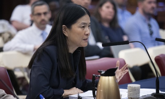 Interim Economic Development Corporation President Jeanny Pak testified during a City Council budget hearing on Friday.