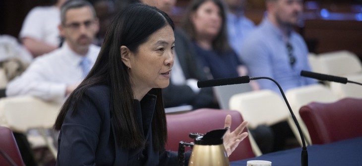 Interim Economic Development Corporation President Jeanny Pak testified during a City Council budget hearing on Friday.