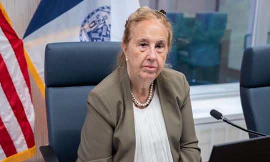 Council Member Gale Brewer, who chairs the Committee on Governmental Operations, oversees the pay raise hearing.
