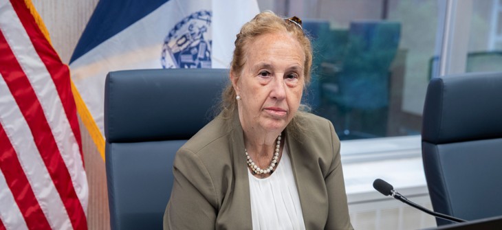 Council Member Gale Brewer, who chairs the Committee on Governmental Operations, oversees the pay raise hearing.