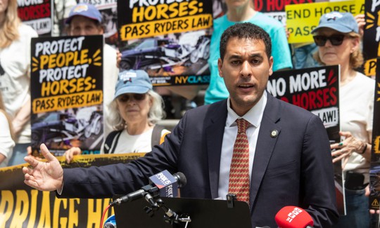 New York City Council Member Chris Marte, who sponsors the bill to ban horse carriages, is getting close to the 26 votes needed to pass the legislation.