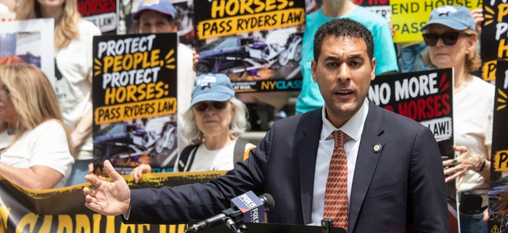 New York City Council Member Chris Marte, who sponsors the bill to ban horse carriages, is getting close to the 26 votes needed to pass the legislation.