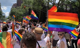The state Legislature is poised to have at least 10 out LGBTQ+ elected officials next year.