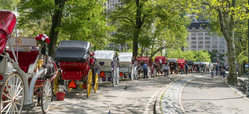 These horse carriages may not be in Central Park for much longer.