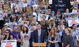 New York City Council Member Chris Marte rallies with Speaker Julie Menin and other supporters of his bill to ban horse-drawn carriages on Wednesday.