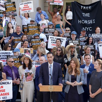 Horse carriage ban sponsor Chris Marte is having a moment