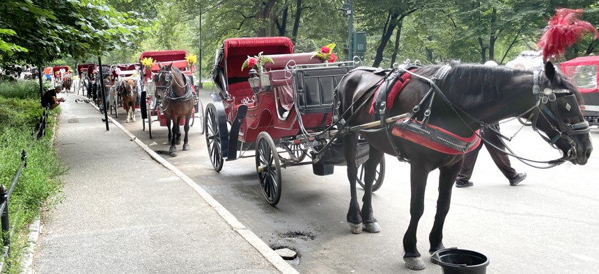 Horse-drawn carriages line an entrance to Central Park.