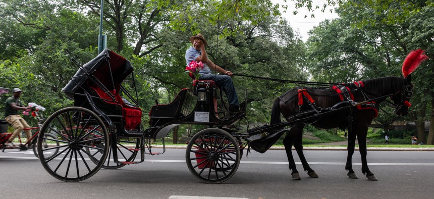 Horse-carriage drivers and their majestic horses have been providing tours of Central Park for 167 years.