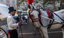 The horse carriage industry is likely coming to end in New York City after a deal was recently struck.