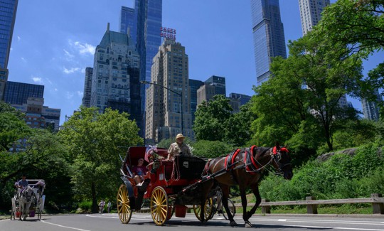 The City Council voted to get rid of Central Park’s remaining horse-drawn carriages on Thursday.