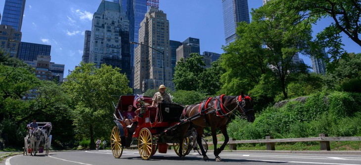 The City Council voted to get rid of Central Park’s remaining horse-drawn carriages on Thursday.