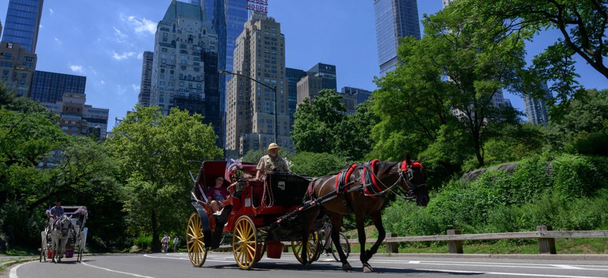 The City Council voted to get rid of Central Park’s remaining horse-drawn carriages on Thursday.