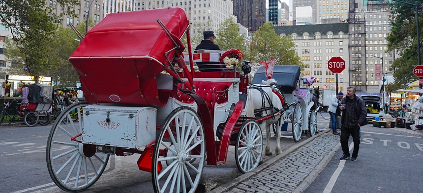 Horse-drawn carriages wait for customers near Central Park on Oct. 22, 2026.
