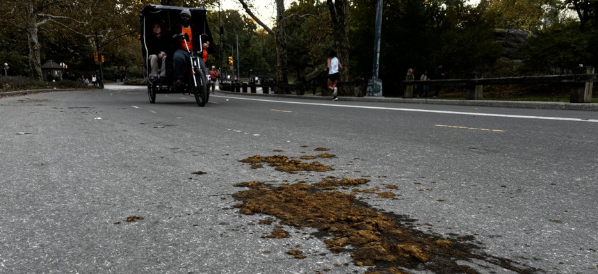 Horse poop is smeared across the pavement in Central Park.