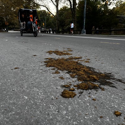 Editor’s note: A load of horseshit